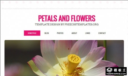 简洁花芯信息网页模板