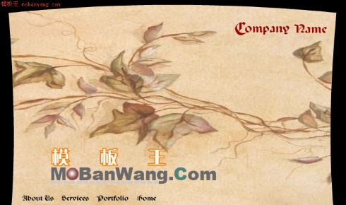 欧美类闪亮个人主页模板