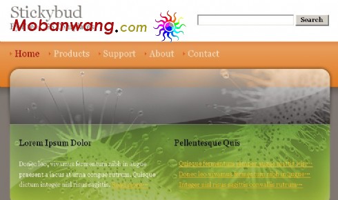 企业玻璃箱网页模板